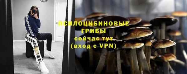 бутират Белокуриха