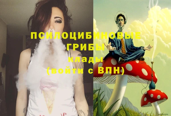 бутират Белокуриха